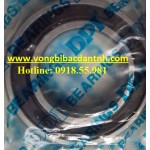 VÒNG BI 6023